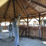 Xilix gel - skuteczny spos&oacute;b na szkodniki drewna - zwalczanie szczur&oacute;w i myszy, zwalczanie much mr&oacute;wek, oprysk na kleszcze i komary, zwalczanie pluskiew, dezynfekcja urzęd&oacute;w, dezynfekcja klimatyzacja, dezynfekcja i sprzątanie po zmarłych, gazowanie zb&oacute;ż silos&oacute;w magazyn&oacute;w, zamgławianie termiczne ulv, usuwanie roztoczy alergen&oacute;w, ozonowanie mieszkań klimatyzacji, usuwanie grzyb&oacute;w pleśni bakterii, wdrożenie haccp punkty krytyczne, audyt biologa terenowego brc, dokumentacja haccp ghp gmp, szkolenia dla pracownik&oacute;w ifs haccp, sprzątanie poddaszy strych&oacute;w piwnic, usuwanie odchod&oacute;w gołębi i innych ptak&oacute;w, sprzątanie i odkażanie po zgonach, zwalczanie roztoczy i ich alergen&oacute;w, odgrzybianie, likwidacja pleśni grzyb&oacute;w alergen&oacute;w, izolacja pozioma przy zawilgoceniu mur&oacute;w piwnic, osuszanie budynk&oacute;w i mieszkań, usuwanie wilgoci, badania laboratoryjne pleśni grzyb&oacute;w, pobieranie pr&oacute;bek z powietrza i r&oacute;żnych innych powierzchni