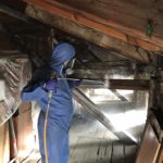 Xilix gel - skuteczny spos&oacute;b na szkodniki drewna - zwalczanie szczur&oacute;w i myszy, zwalczanie much mr&oacute;wek, oprysk na kleszcze i komary, zwalczanie pluskiew, dezynfekcja urzęd&oacute;w, dezynfekcja klimatyzacja, dezynfekcja i sprzątanie po zmarłych, gazowanie zb&oacute;ż silos&oacute;w magazyn&oacute;w, zamgławianie termiczne ulv, usuwanie roztoczy alergen&oacute;w, ozonowanie mieszkań klimatyzacji, usuwanie grzyb&oacute;w pleśni bakterii, wdrożenie haccp punkty krytyczne, audyt biologa terenowego brc, dokumentacja haccp ghp gmp, szkolenia dla pracownik&oacute;w ifs haccp, sprzątanie poddaszy strych&oacute;w piwnic, usuwanie odchod&oacute;w gołębi i innych ptak&oacute;w, sprzątanie i odkażanie po zgonach, zwalczanie roztoczy i ich alergen&oacute;w, odgrzybianie, likwidacja pleśni grzyb&oacute;w alergen&oacute;w, izolacja pozioma przy zawilgoceniu mur&oacute;w piwnic, osuszanie budynk&oacute;w i mieszkań, usuwanie wilgoci, badania laboratoryjne pleśni grzyb&oacute;w, pobieranie pr&oacute;bek z powietrza i r&oacute;żnych innych powierzchni